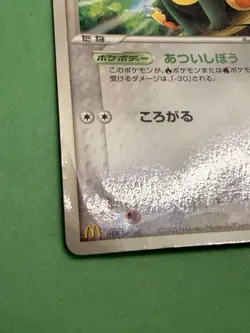 Rota's Munchlax 088/PCG-P Pokemon Card Japanese PCG-P Promotional cards HP - Image 2