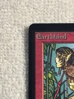MTG 1993 Limited Edition Beta-Original condition- Earthbind-LP - Image 3