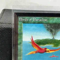 1993 BIRDS OF PARADISE Magic the Gathering Collector's Edition CE MTG Sharp - Image 2