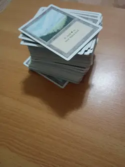 201 Cards Total Mtg Revised Basic Land Lot - Image 5