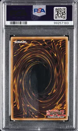 2008 YU-GI-OH! PTDN-PHANTOM DARKNESS 1ST ED #EN003 RAINBOW DARK DRAGON PSA 8 - Image 2