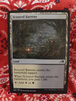 Scoured Barrens Kamigawa: Neon Dynasty Regular - Image 1