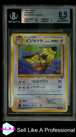 PIDGEOT POKEMON 18 1997 JUNGLE HOLO JAPANESE BGS 8.5 - Image 1