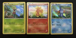 Pokemon XY36 XY37 XY38 Promo Treecko Torchic Mudkip Holo Card - Image 1