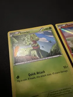 Pokemon XY36 XY37 XY38 Promo Treecko Torchic Mudkip Holo Card - Image 2