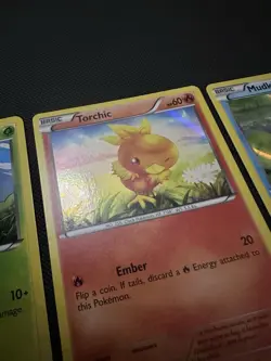 Pokemon XY36 XY37 XY38 Promo Treecko Torchic Mudkip Holo Card - Image 3