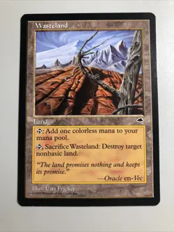 Wasteland - Tempest NM Very Clean (Check Pics) MTG TCG - Image 1