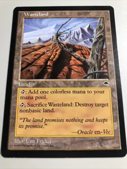 Wasteland - Tempest NM Very Clean (Check Pics) MTG TCG - Image 2