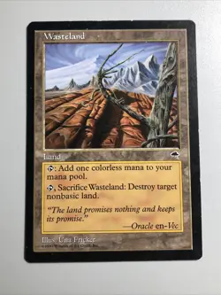 Wasteland - Tempest NM Very Clean (Check Pics) MTG TCG - Image 1