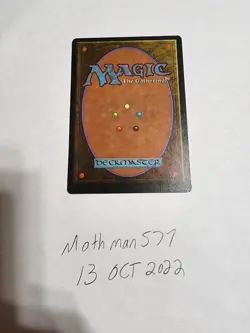 MTG Legends Ivory Guardians Magic the Gathering LP Card - Image 2