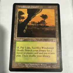 Windswept Heath (1) Onslaught MTG Excellent/LP 4RCards - Image 1