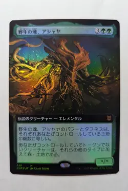 1x ASHAYA SOUL OF THE WILD FOIL EXTENDED JAPANESE NM - ZNR MTG Magic Mythic x1 - Image 1