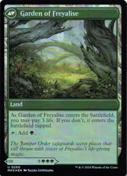 MTG Disciple of Freyalise (250) | NM Foil | Modern Horizons 3 {MH3} - Image 3