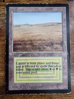 MTG Savanna ⭐BETA ⭐HP+ ⭐15 REAL HQ PICS! ⭐Rare Original Dual Land 1993 Magic - Image 1