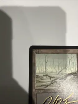 MTG: Swamp - (A) Low Branch - Near Mint - NM - Shadow Signed By Dan Frazier - - Image 3