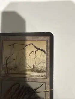MTG: *** ALPHA Swamp B (Orange Sky) *** LP - Shadow Signs By Dan Frazier - - Image 3
