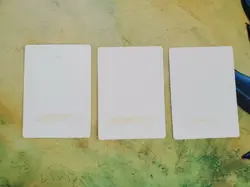 MTG Christopher Rush Artist Proof Revised Forest set of 3 SIGNED AUTO - Image 2