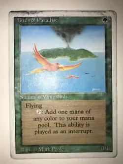 1x Birds of Paradise English 3rd Edition Revised MTG Magic HP Dmg - Image 1