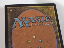 Cream of the Crop Morningtide NM Near Mint MTG Magic - Image 5