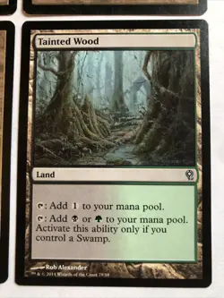 Tainted Wood X4 - 3 Japanese, 1 English , Ex Condition See Front/back Pics - Image 4