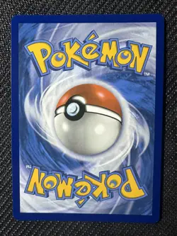 Pokemon Mega Evolutions Riolu Black Star Promo Illustration Rare #10 NM - Image 2