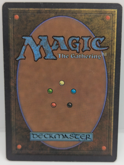 Fountain of Youth Chronicles Regular LP MTG - Image 2