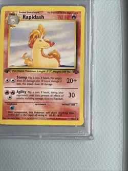 1999 Pokemon Jungle Rapidash 1st Edition #44 PSA 10 - Image 5