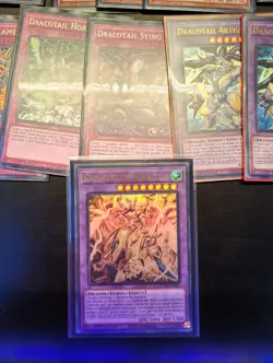 Dracotail deck core yugioh (Includes Secreterion Dragon) - Image 3