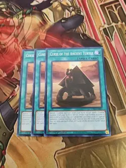 3x Curse of the Ancient Turtle - SUDA-EN083 - 1st Ed Common NM Yugioh - Image 1