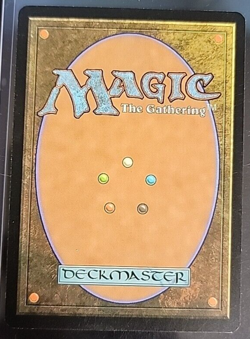 MTG Leechridden Swamp - Shadowmoor Card # 273 - Image 2