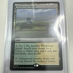 Windswept Heath (NM Non-Foil) MH3-0235 Rare MTG - Image 3