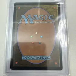 Windswept Heath (NM Non-Foil) MH3-0235 Rare MTG - Image 4