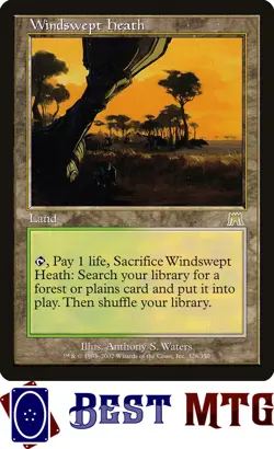 Magic The Gathering MTG Windswept Heath 328 SP Onslaught - Image 1