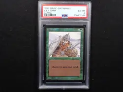 Ice Storm Alpha PSA 6 Graded MTG magic #2512 - Image 1