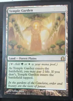 Temple Garden regular 248 NM Return to Ravnica - Image 1