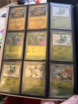 Eevee evolutions pokemon binder, simplified chinese. 90 cards (master balls, ect - Image 4