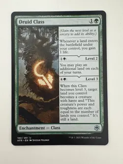 Druid Class MTG Magic the Gathering Card NM Near Mint AFR - Image 1