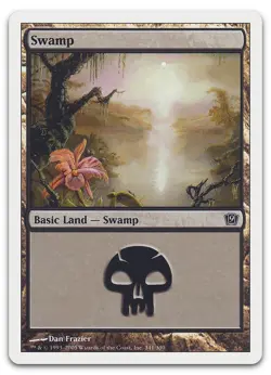 Swamp (341) #341 (LP) 9th Edition 9ED Magic MTG - Image 1