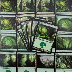 25 Forests MTG Basic Land Pack Near Mint DECKBUILDING Magic: The Gathering - Image 1