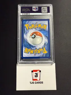 Phanpy - PSA 10 - IR Surging Sparks 205/191 - Pokemon - Image 2