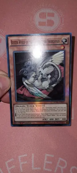 Buster Whelp Of The Destruction Swordsman (LP) BOSH-EN019 Super Rare unlim - Image 2