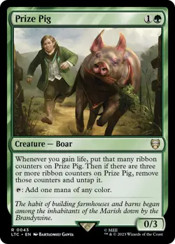 MTG Prize Pig - The Lord of the Rings Commander #043 - Image 1
