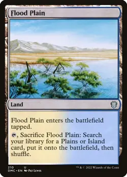 Flood Plain (DMC) - MTG - Land - Excellent - Image 1