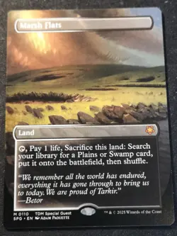 Marsh Flats - Borderless - SPG - MTG - EN - NM - 0110 - Image 1