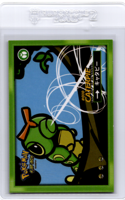 Safari Set pokemon Card Caterpie - Image 1