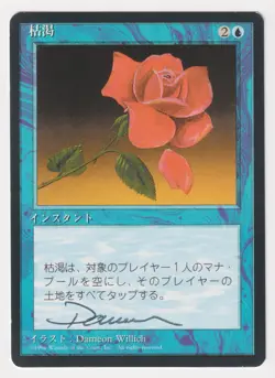 Signed Japanese Mana Short Proof LP 4th FBB Artist Dameon Willich MTG Magic AP! - Image 1