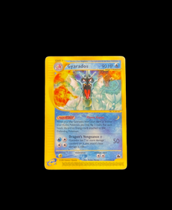 Skyridge Gyarados 11/144 Non Holo EXCELLENT POKEMON + MYSTERY CARD! E-READER! - Image 3