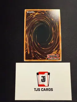 Radiant Typhoon Swen - Starlight Rare DOOD-EN014 - YuGiOh - Image 2