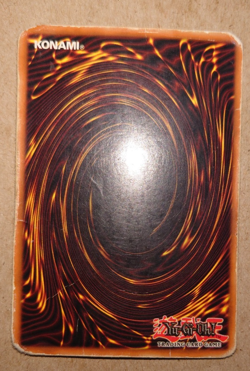 Dark Paladin DMG-001 Secret Rare Promo Yugioh - Image 2
