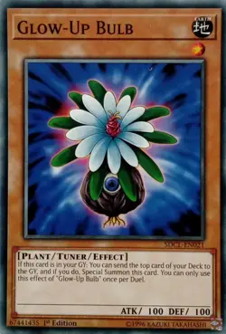 SDCL-EN021 GLOW-UP BULB COMMON 1ST EDITION YuGiOh CARD - Image 1